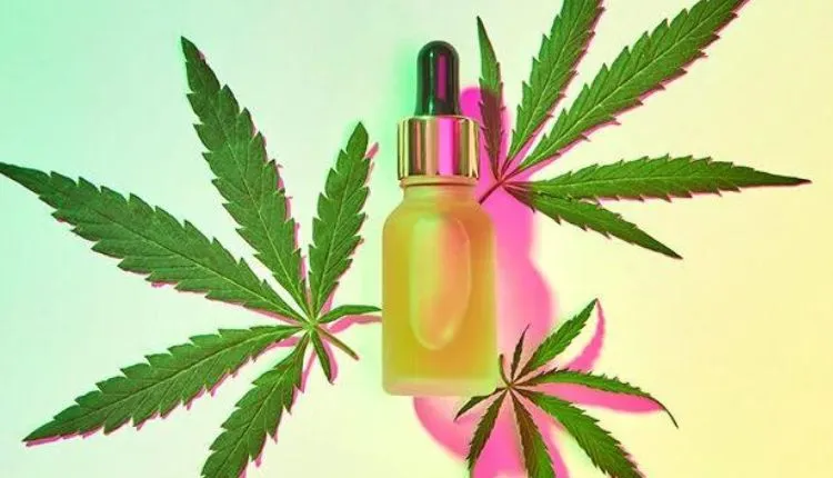 Understanding Canada’s Love Affair With Cannabis: What You Need To Know