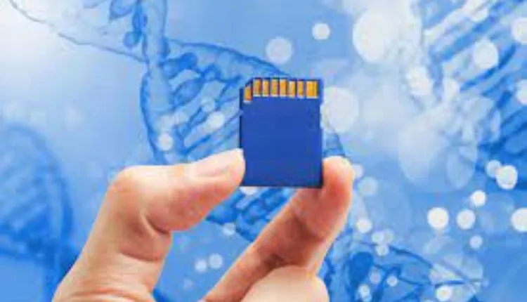 Exploring Jin Gates’ Astounding Net Worth And His Journey To Success