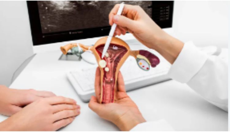 Obstetricians And Gynecologists: The Primary Detectives In Identifying Ovarian Cysts